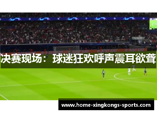 决赛现场：球迷狂欢呼声震耳欲聋