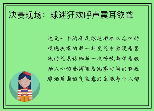 决赛现场：球迷狂欢呼声震耳欲聋